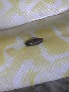c0109891_17175253.jpg