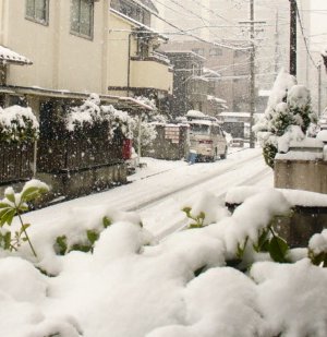 a0031000_23492490.jpg