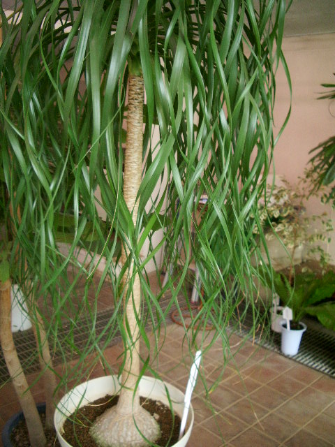 e0025300_16214416.jpg