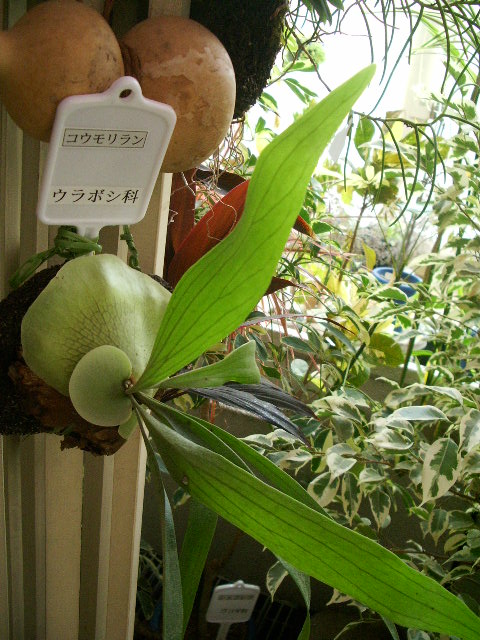 e0025300_1623524.jpg