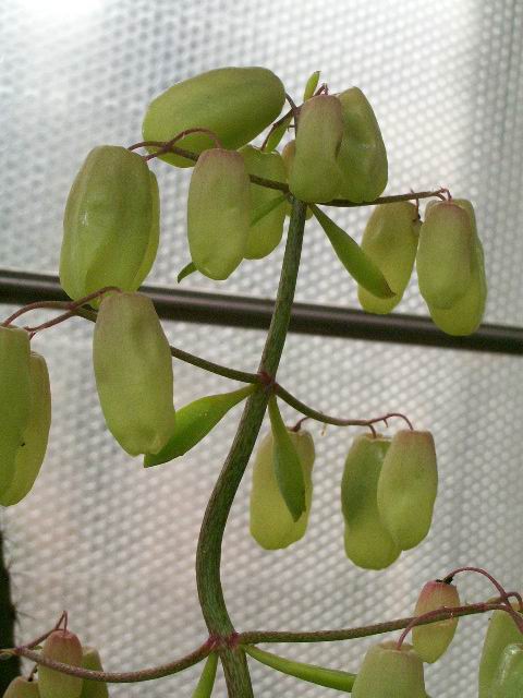 e0025300_16271085.jpg