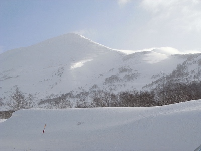 f0157901_2064639.jpg