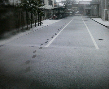 d0148202_15571971.jpg