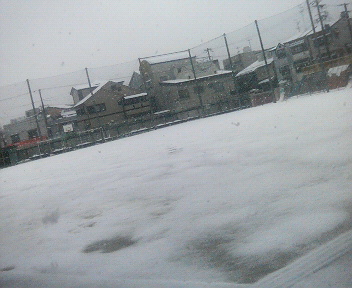 d0148202_1632093.jpg