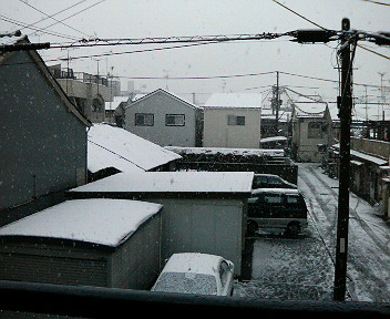 d0148202_1705488.jpg