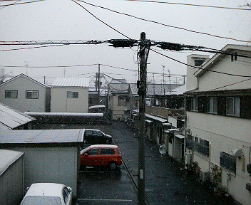 d0148202_1725621.jpg