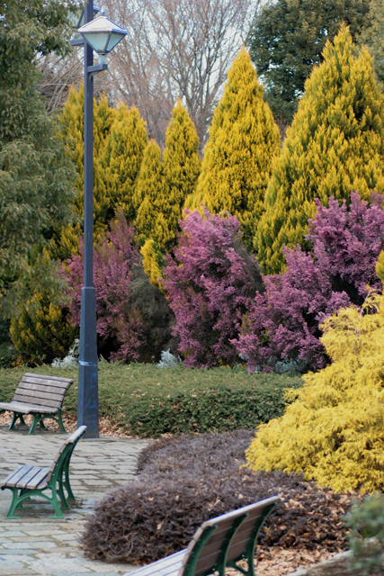 e0031502_2316151.jpg