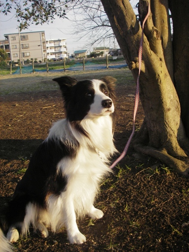f0034602_1017508.jpg