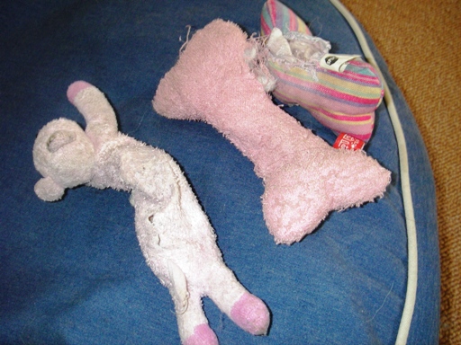 f0034602_1021992.jpg