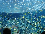 c0151903_1359489.jpg