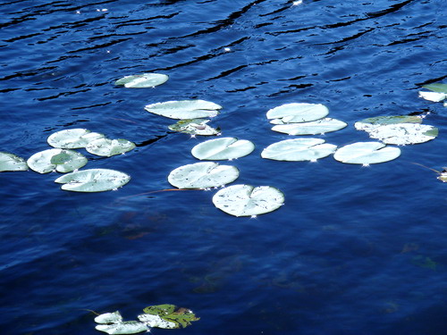 f0100505_23542528.jpg