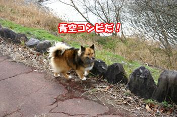 a0041108_12261487.jpg