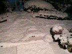 f0127408_23101849.jpg