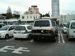 f0127408_23101875.jpg