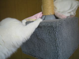 c0024410_1139487.jpg