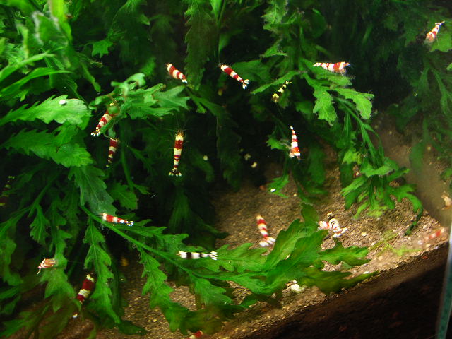c0116611_324280.jpg