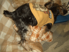 c0143711_12155422.gif