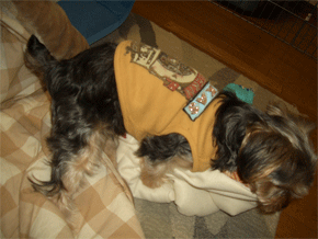c0143711_121631.gif