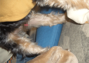 c0143711_13115927.gif