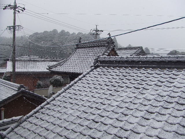 d0117011_14533488.jpg