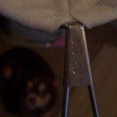 c0036617_8564589.jpg