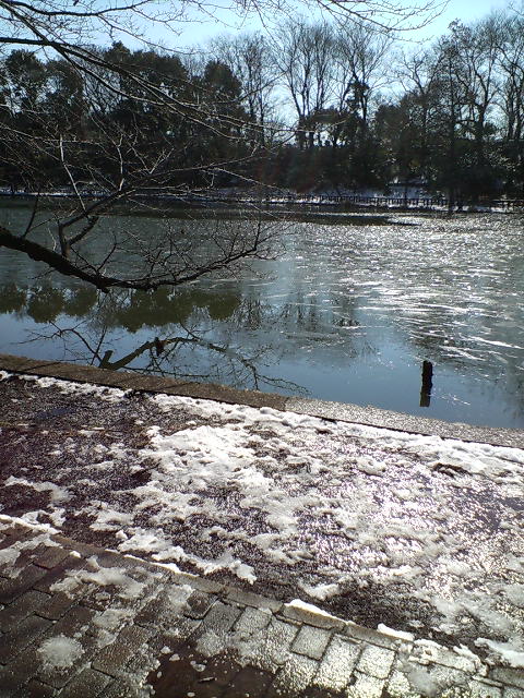 c0100318_2075642.jpg