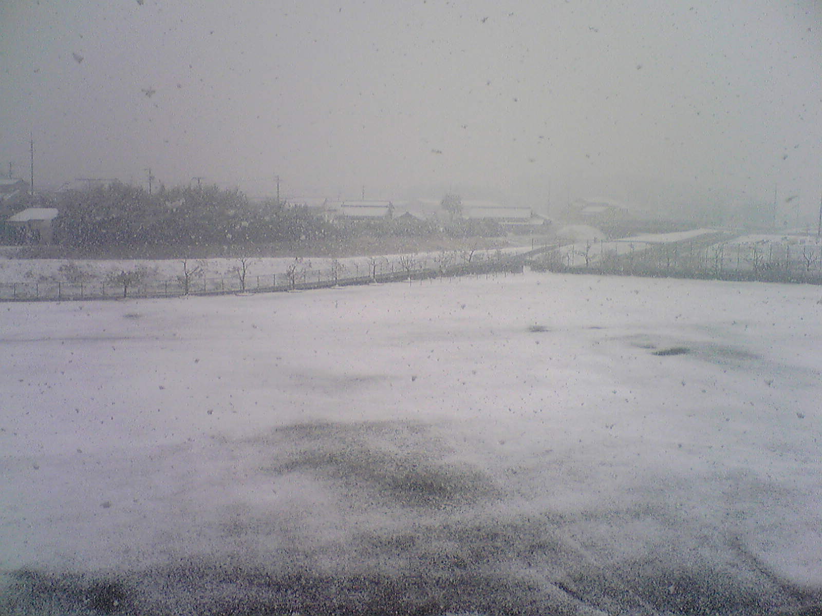 c0084222_15191755.jpg