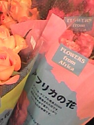 c0139527_2224931.jpg