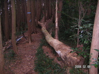 e0002927_22473099.jpg