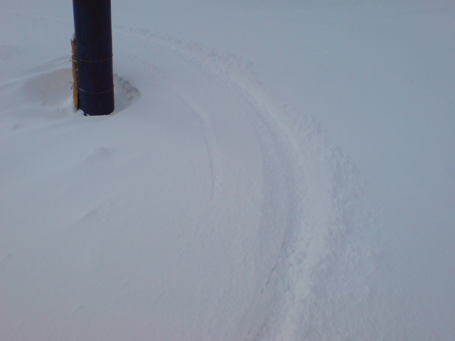 c0054838_845161.jpg