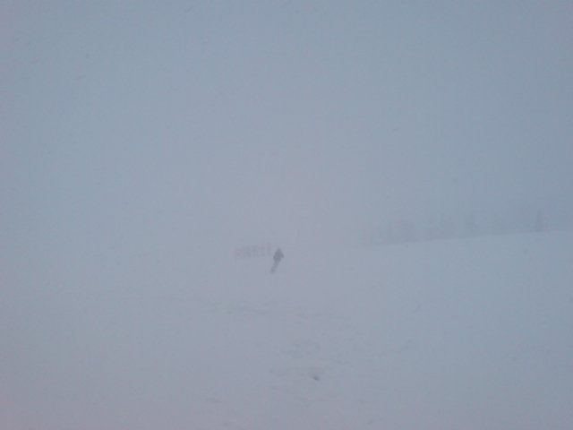 c0054838_847261.jpg