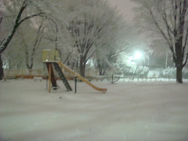 a0046339_202250100.jpg