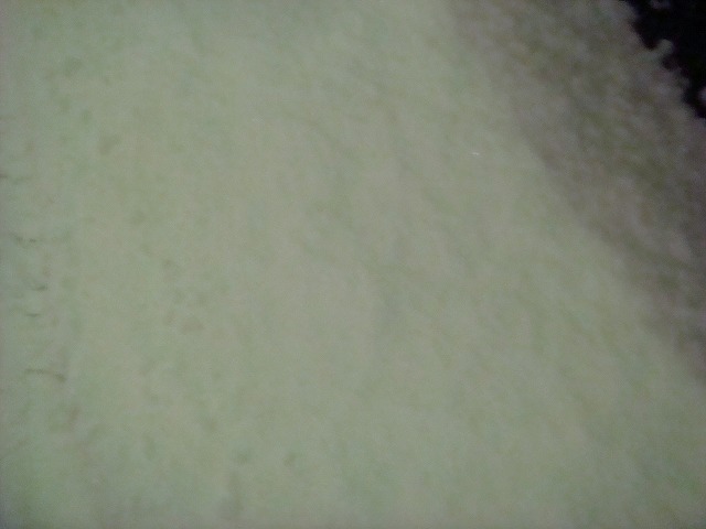a0046339_20242924.jpg
