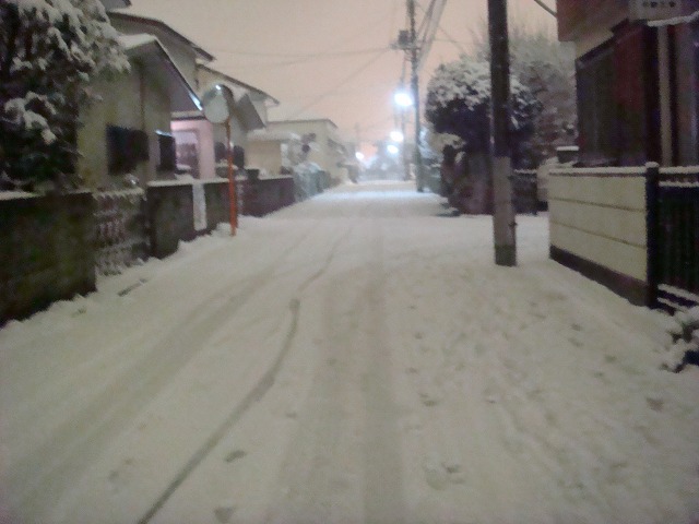 a0046339_20251642.jpg