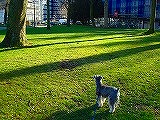 c0153740_61391.jpg