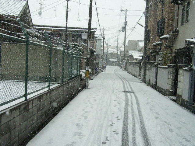 b0017844_11514560.jpg