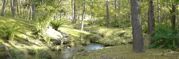 c0062361_1434227.gif