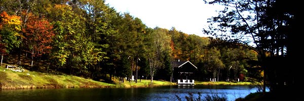 c0062361_1435622.jpg
