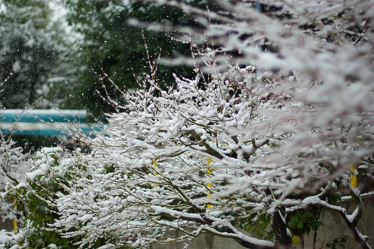 a0094762_17202058.jpg