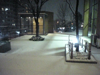 c0061774_23215216.jpg
