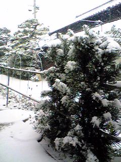 f0001378_15145880.jpg