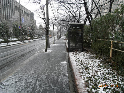 b0002879_19461247.jpg