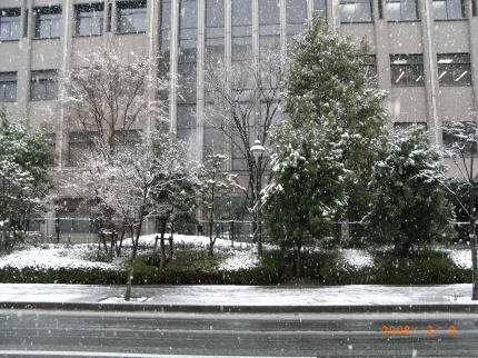 b0002879_19463796.jpg