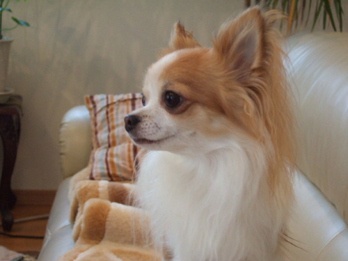 b0043980_326876.jpg