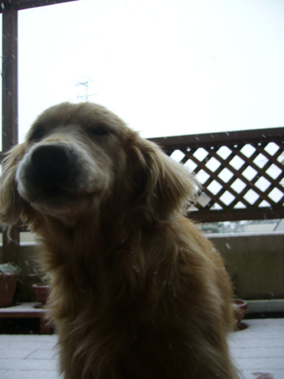 c0085188_2193322.jpg