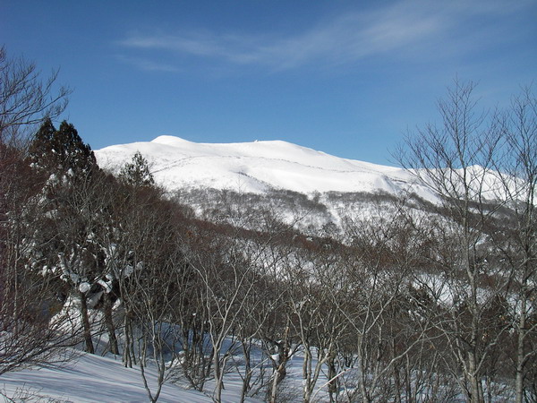 a0043193_18201123.jpg