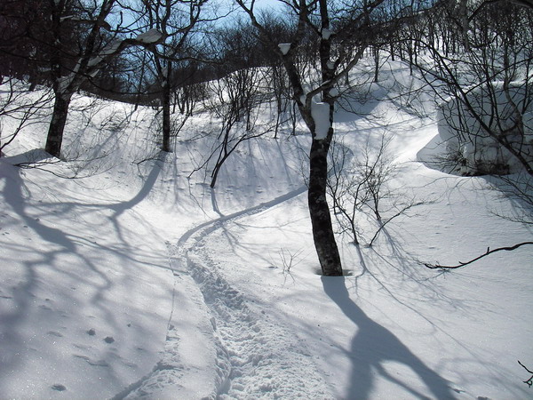 a0043193_18223467.jpg
