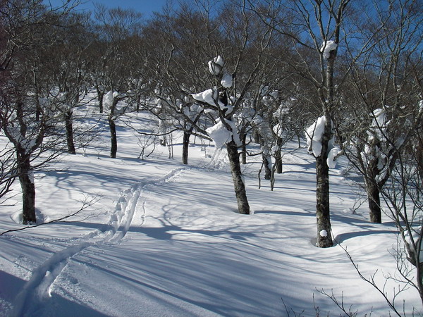 a0043193_18225719.jpg