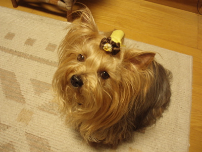 f0130894_210738.jpg
