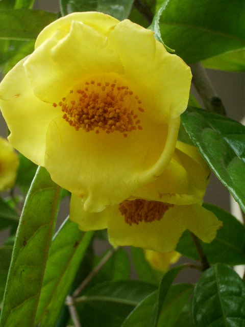 e0025300_13591654.jpg
